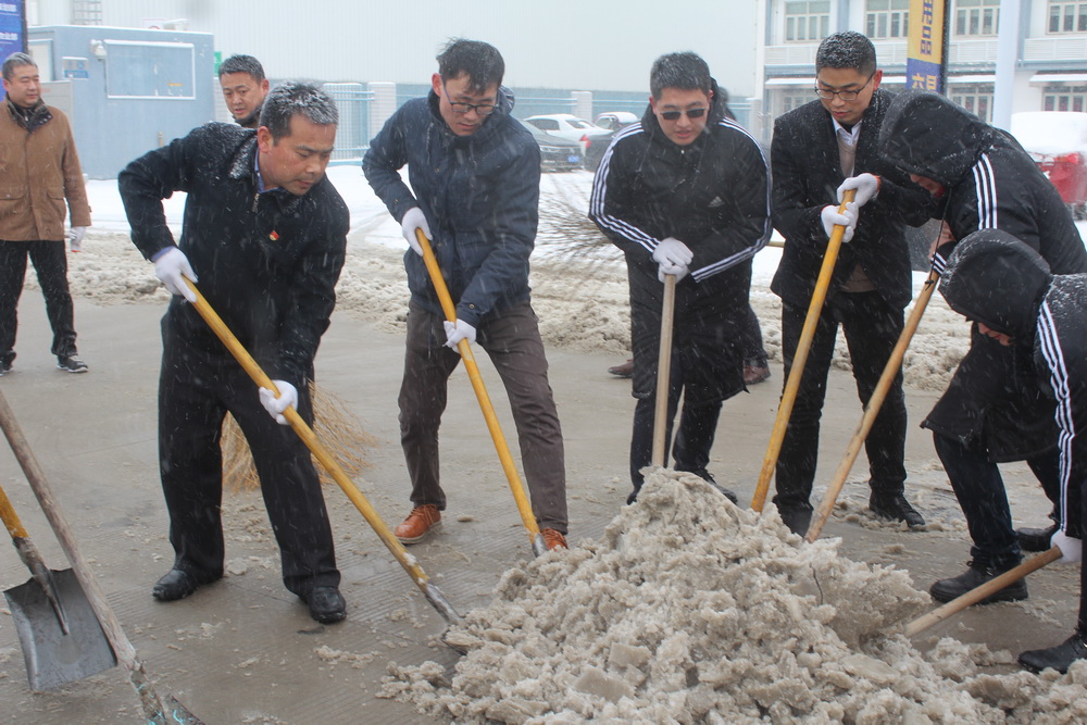 2018年1月29日，暴雪袭击合肥，合肥宝湾国际物流中心有限公司组织党员同志开展公益扫雪活动2.jpg